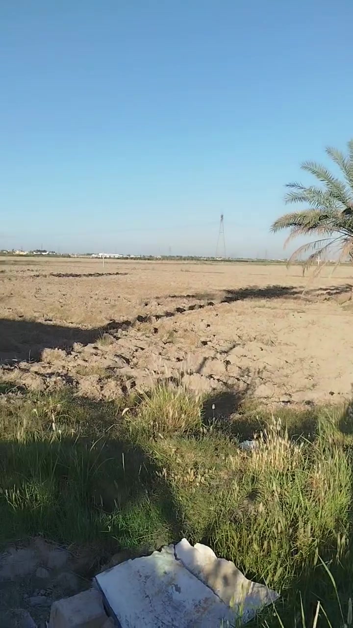 ارض طابو زراعي سند 25 مساحة 14 دونم في بغداد التاجي منطقة علي الحمد تبعد عن الشارع العام 500 متر سعر الدونم ب150 للاستفسار ***********
