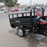 ستوته • موديل 22 • مكفولة حيدر جبرين