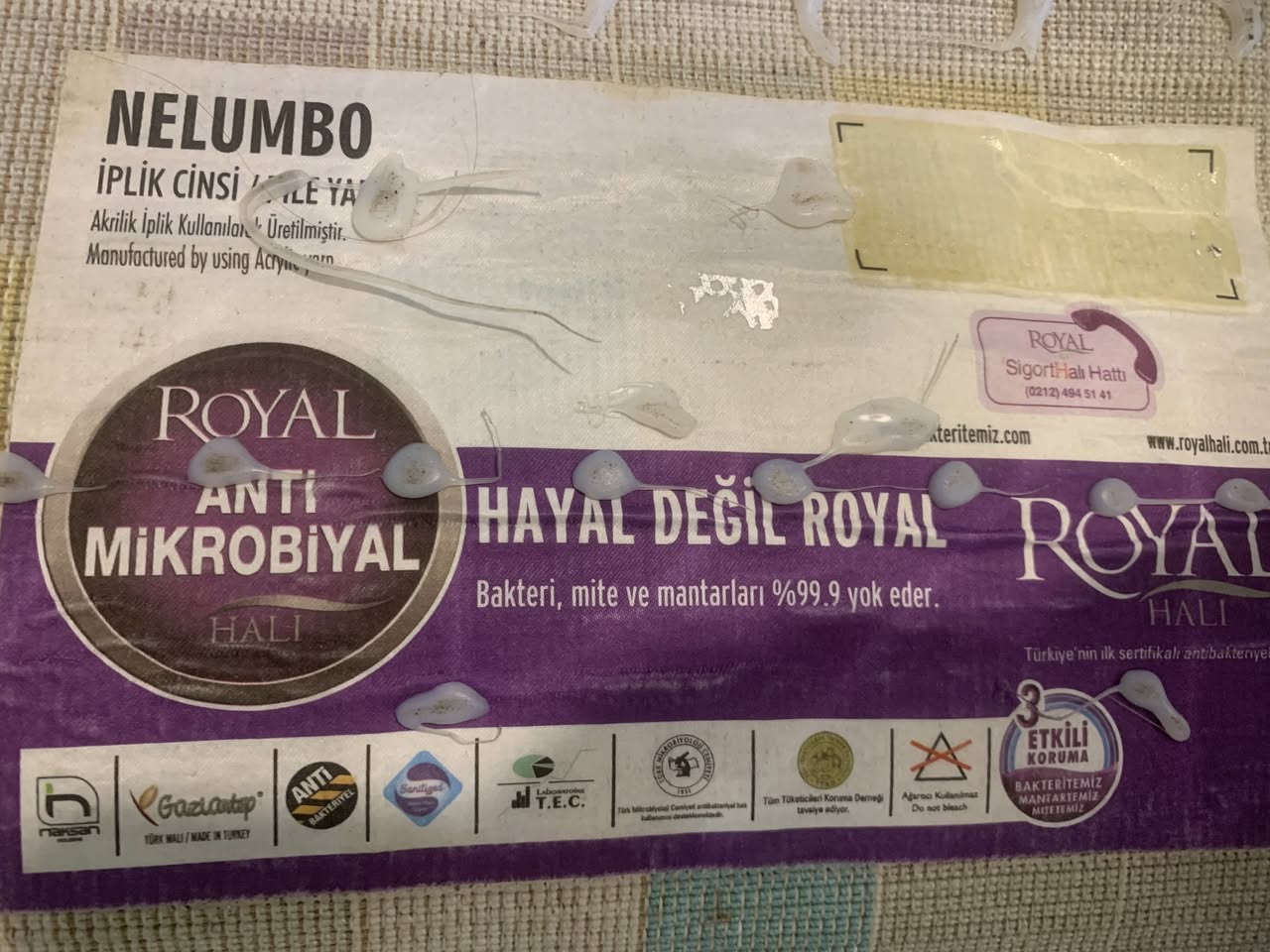 <span class='f1'><span class='f1'>&amp;lt;span class='f1'&amp;gt;Carpet&amp;lt;/span&amp;gt;</span></span> أربيل, العراق


**إذا كنت صاحب هذا الإعلان وتريد حذفه لأي سبب، رجاءا أرسل رسالة إلى الدعم الفني**