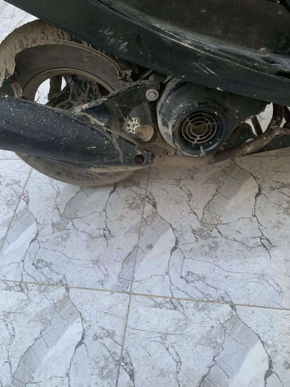 صالنصه بلاديه شعدك مراوس نزل


**إذا كنت صاحب هذا الإعلان وتريد حذفه لأي سبب، رجاءا أرسل رسالة إلى الدعم الفني**