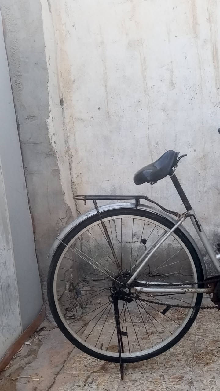 باسكل ياباني حجم 27 سعره60   مكاني كوفه


**إذا كنت صاحب هذا الإعلان وتريد حذفه لأي سبب، رجاءا أرسل رسالة إلى الدعم الفني**