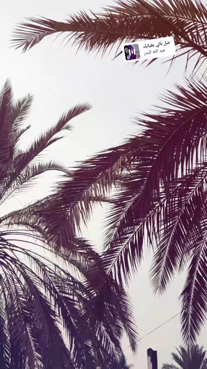 السلام عليكم.....  نامه متياز 24..... دراجه نضيفه ومكفوله....  السعر 550 وبيه مجال قليل  مكاني بابل الحمزه الغربي.... رقمي ‏‪0784 225 3291‬‏
