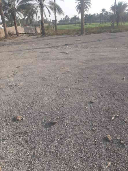 ارض طابوا زراعي مساحة الف متر مدفونه اوجاهزه قريبه على شارع التبليط بيه كل الخدمات العنوان بابل فضاء المسيب في بداية قرية ابو عصافير طريق جعفر الصادق للاستفسار ***********
