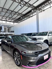 جارجر RT • ٢٠٢٣ • بدون صبغ