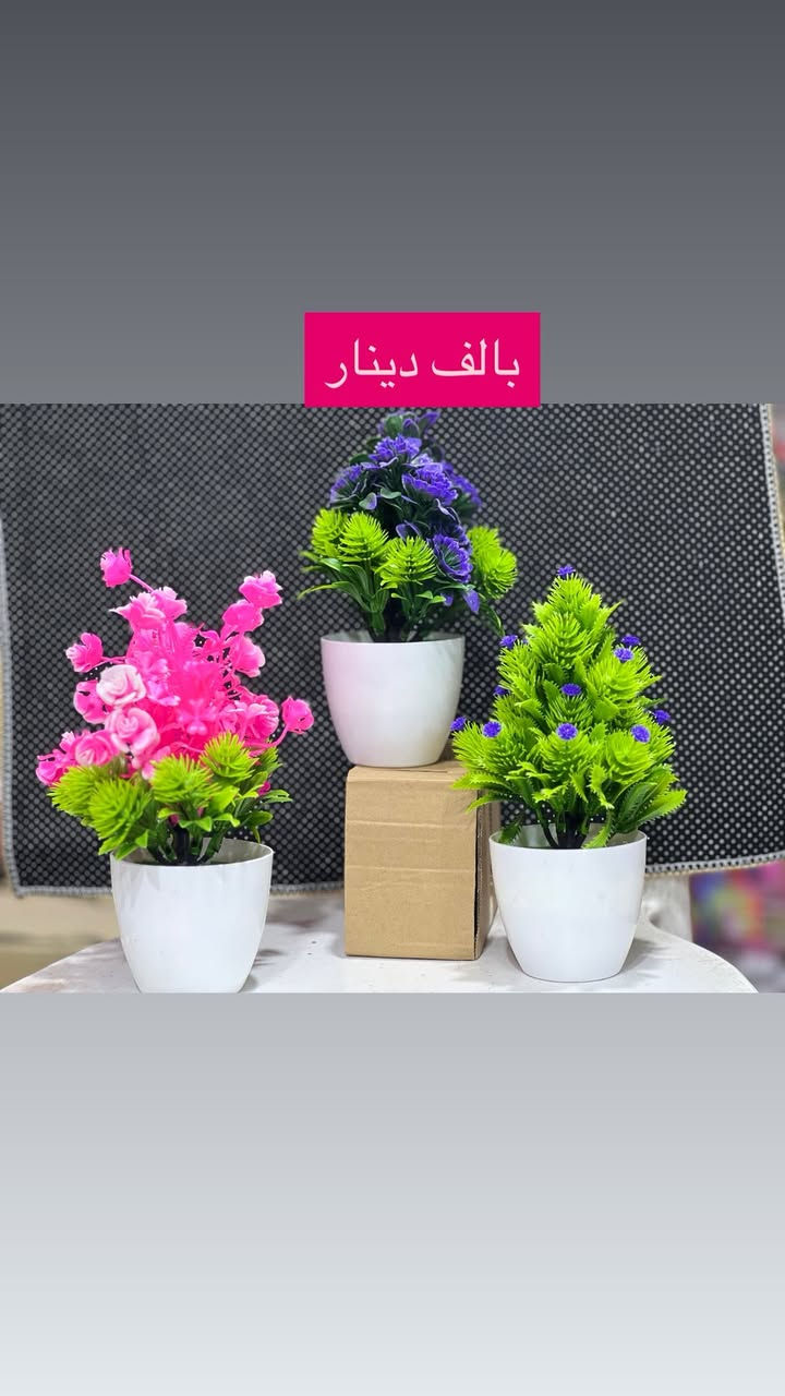 بسم الله الرحمن الرحيم 
💥💥💥💥💥💥💥
وصلت البضاعه الجديده وبسعر الف دينار فقطط
اي صوره داخل المنشور بالف دينار فقط 
الموقع الحي العسكري مجاور مخبز النور ومجاور ملابس الجوهره 
وايضاً يوجد توصيل 🚚 مجاني لجميع احياء جبله 
للطلب مراسله الصفحه او الاتصال 
***********. واتساب
