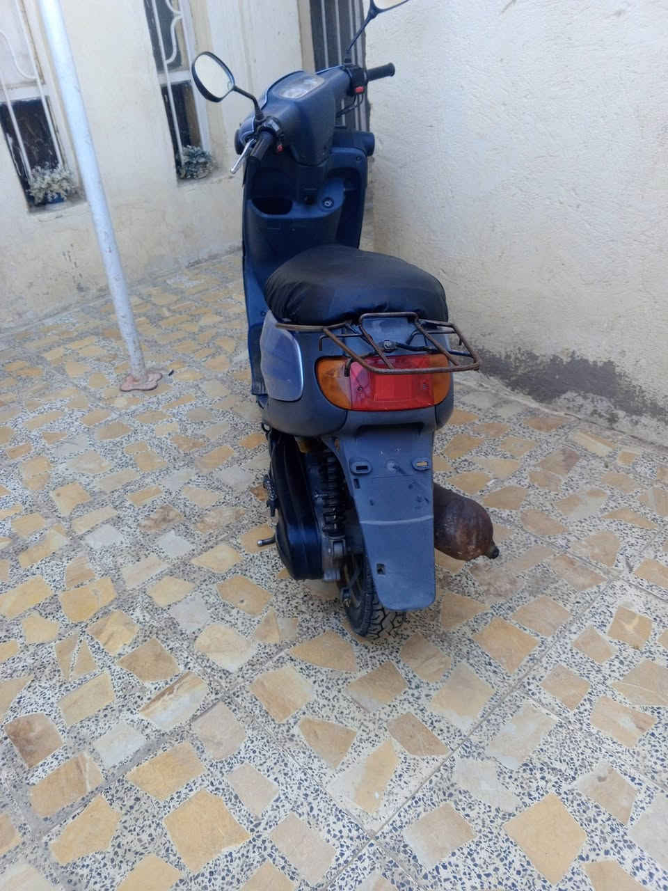 دراجة منغولي ام سلة للبيع سعر 500بيها مجال مكاني كربلاء (رجاء لاتكسر بحلال ناس ) تواصل ***********
