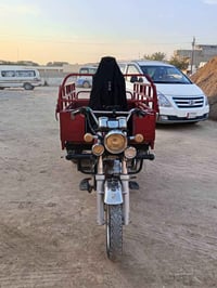 ستوته أم الطير • موديل 22 • كفاله عامه