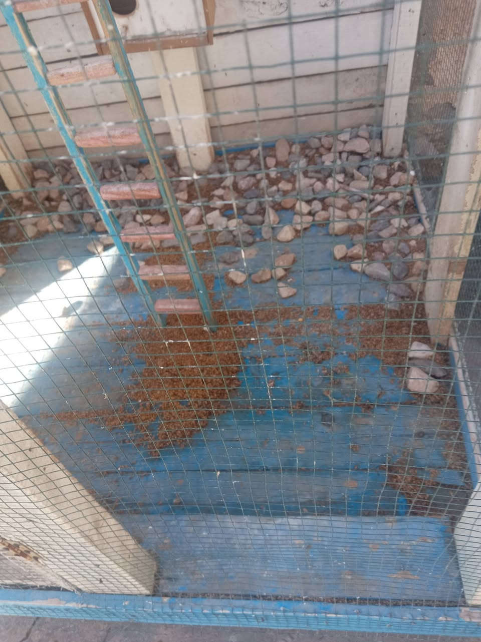 سلام عليكم قفص البيع مرتب وثقيل سعرها مناسب 35الف مكلف بنشر
