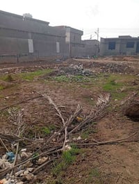 الخالص الشرقيه • ١٩٥م • طابو زراعي