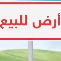 الزيتون الغربي • ٥٦٠م • ماء وكهرباء
