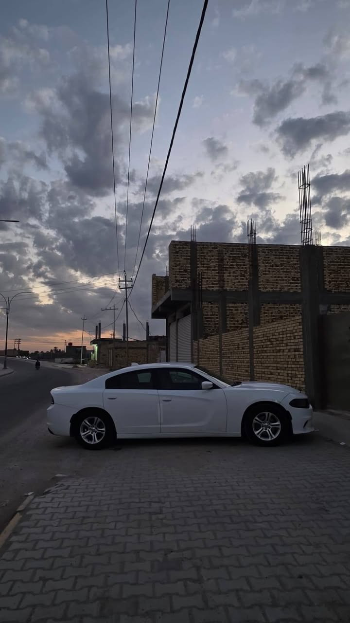 يالله سلام عليكم جارجر مديل 2017اصل رقم مثنئ.
سياره جاهز كفاله كير مكينه حداديه اكسن تخم تاير
دواخل جديده كشن حضن حار بارد، بيه اربع قطع بدون دواخل سياره خير من الله ترايك للسعوديه السعر 158
17718146567


**إذا كنت صاحب هذا الإعلان وتريد حذفه لأي سبب، رجاءا أرسل رسالة إلى الدعم الفني**