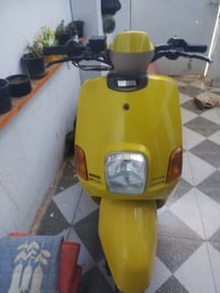 ماكس بوليسي نوزل • نضيفة • أوراق كاملة