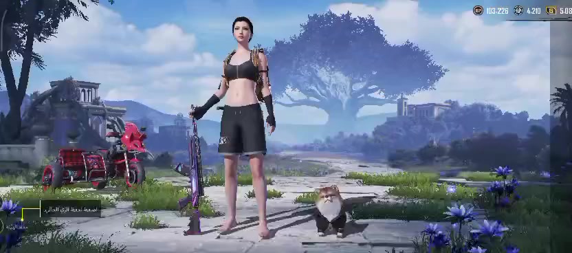 كلشي موضح بل فيديو قيم وأخذ راسلني واتساب ***********
