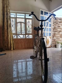 باسكل • الديوانية