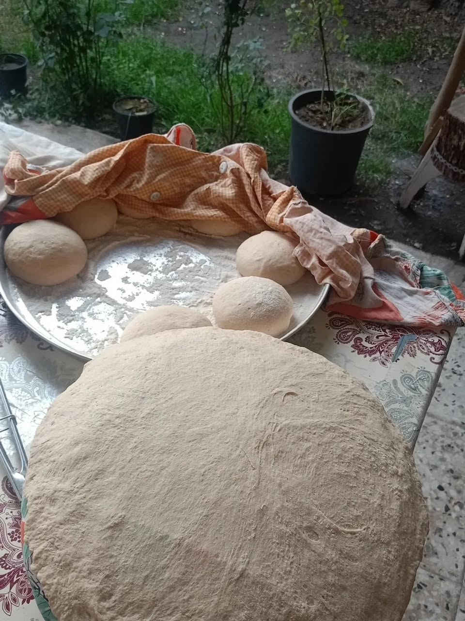 حجز خاص 
5بالف من عندي الطحين 
منكم الطحين 6بالف


**إذا كنت صاحب هذا الإعلان وتريد حذفه لأي سبب، رجاءا أرسل رسالة إلى الدعم الفني**