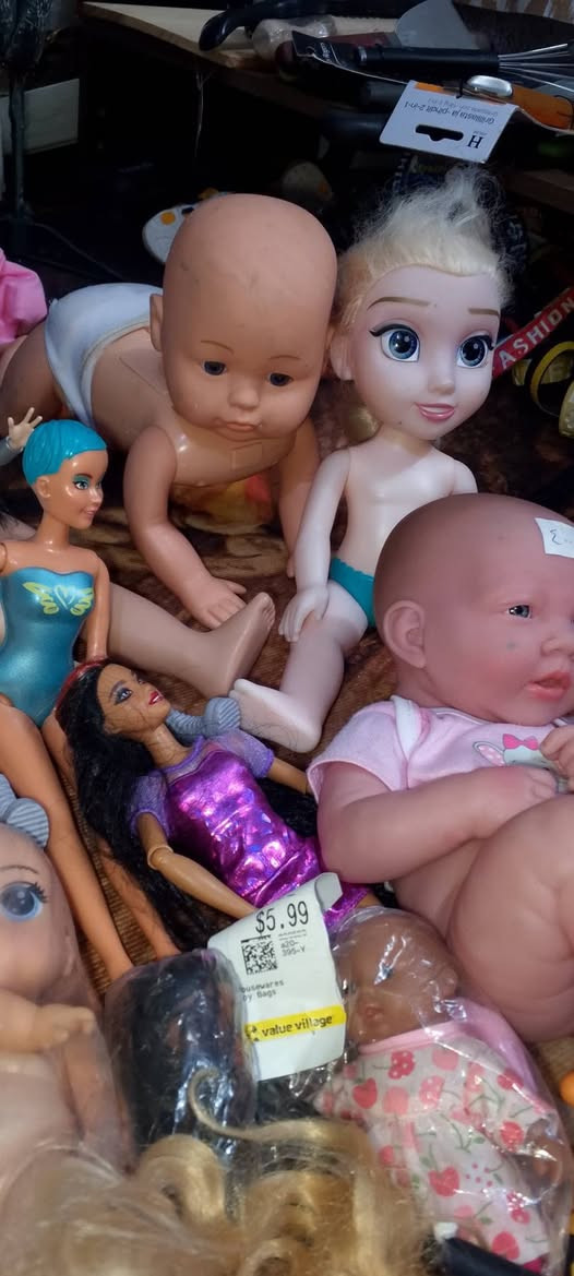 متوفر العاب امزون 
تابع الصفحة وحساب التيك توك واسعار تنافسيه
بث مباشر يوميا ساعه9
ونتشرف بالجميع


**إذا كنت صاحب هذا الإعلان وتريد حذفه لأي سبب، رجاءا أرسل رسالة إلى الدعم الفني**