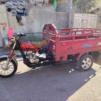 ميسان المجر الكبير • ستوته • فحل