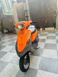 بيجي • مشمشي • ماكو نقص