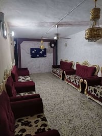 شباب تخم للبيع سعر خاص.  07741822656
