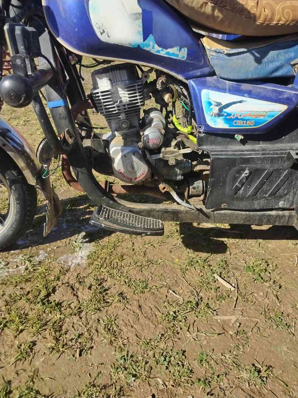 لسلام عليكم ستوته صقر فحل باب اول موديل 2020 كهربايات شغاله اوراق اصوليه مكينه مكفولا كفاله عامه مكاني ديوانيه قضاء الشافعيه السعر 1500وبيه مجال الست***********
