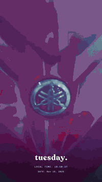 سلام عليكم دراجه جيتي ار نوزل دراجه خير من الله الدراجه نضيفه جيب فيتر وتعال افحص دراجه قبل 3اشهر نازله رمبه السعر مليون وبيه مجال العنوان بغداد الغزاليه رقمي. ***********
