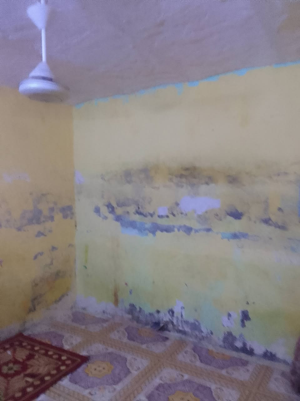بيت للبيع طابو صرف جاهز التحويل مساحة ٩٨متر ديوانيه وصاله وقرفتين ومطبخ وصحيات وحوش صقير العنوان الحيانيه المدينه القديمه قرب طاك اي ستفسار تواصلو وي رقم (***********)وتساب
