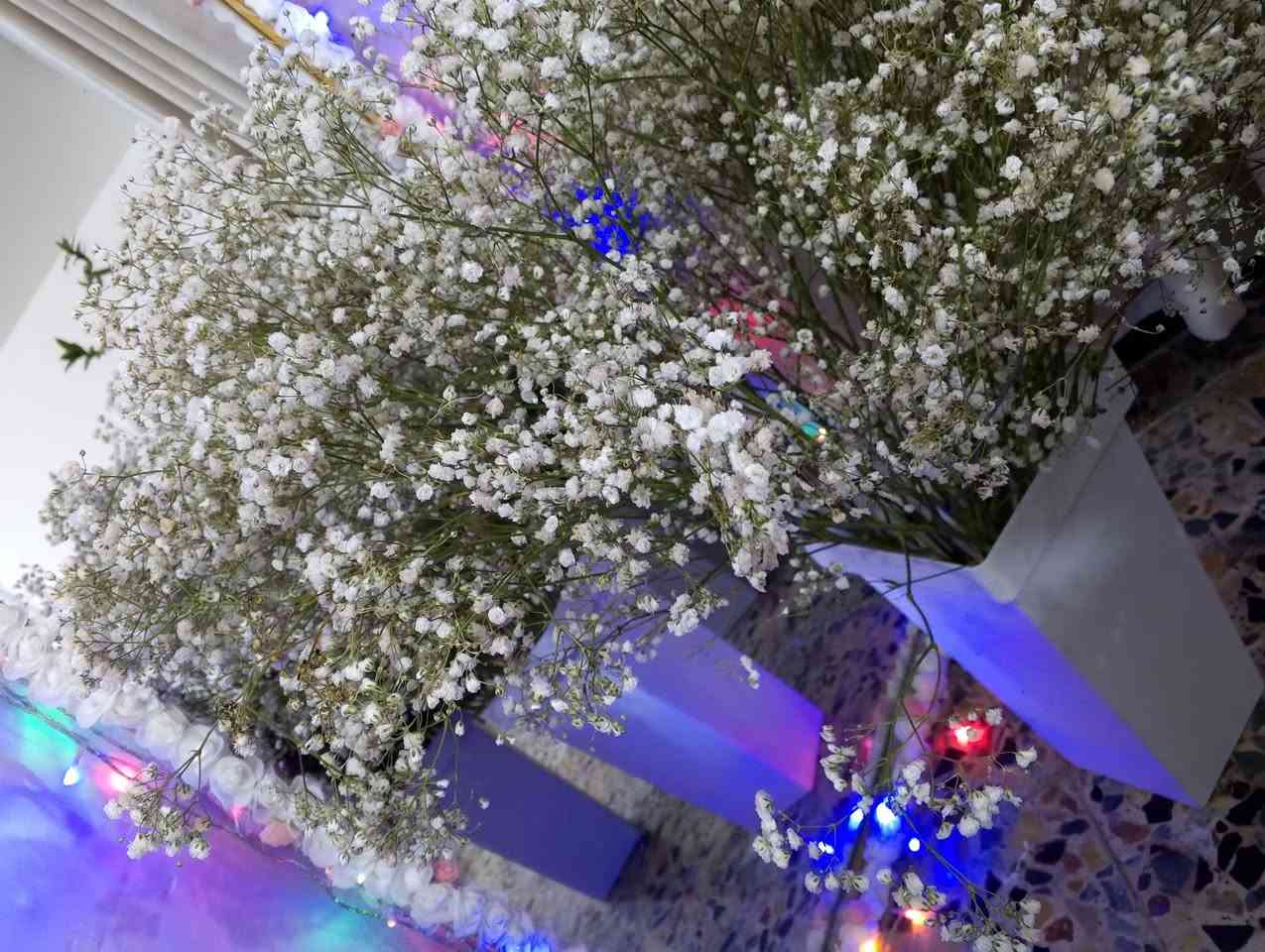 توفرر ورد طبيعي بمناسبه عيد الحب ❤❤✨❤❤
سعر الورده ٣ الاف فقط ✨✨❤❤❤❤❤❤❤


**إذا كنت صاحب هذا الإعلان وتريد حذفه لأي سبب، رجاءا أرسل رسالة إلى الدعم الفني**