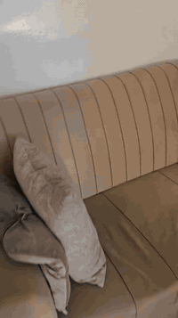 ديوان للبيع 
رقم الهاتف ***********
حمدانية قرة قوش
