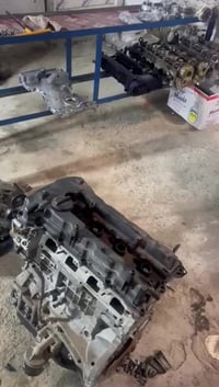 مركز الجود • نادي النفط • فلتر خليل اللبناني