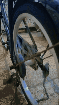 باسكل • مقاس 24 • شطره