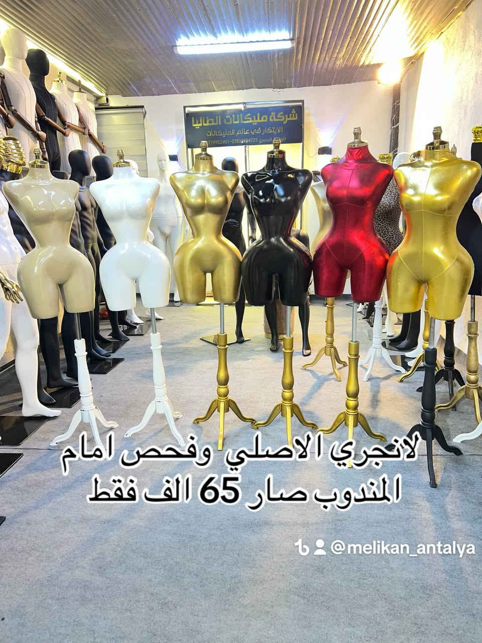 مليكانات انطاليا  مختصيين لتجارة انواع المليكانات
الرجالية والنسائية والاطفال
للحجز /***********كوردي /عربي***********
 
يوجد توصيل لجميع العراق
جمله مفرد-
-
