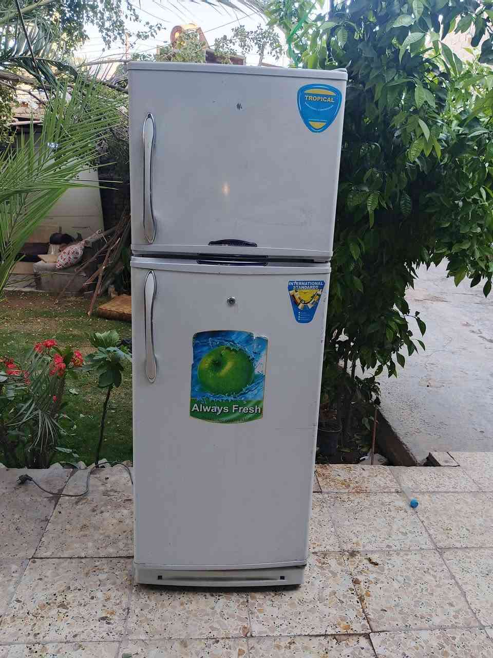 ثلاجة مستعملة للبيع
ثلاجة 16قدم نضيفة شغالة كاملة تجميد 

السعر 200الف وبيها مجال

الموقع سبع ابكار ويوجد توصيل بكروة 

للتواصل ***********
