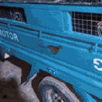 ستوته • موديل 20 • أوراق كاملة