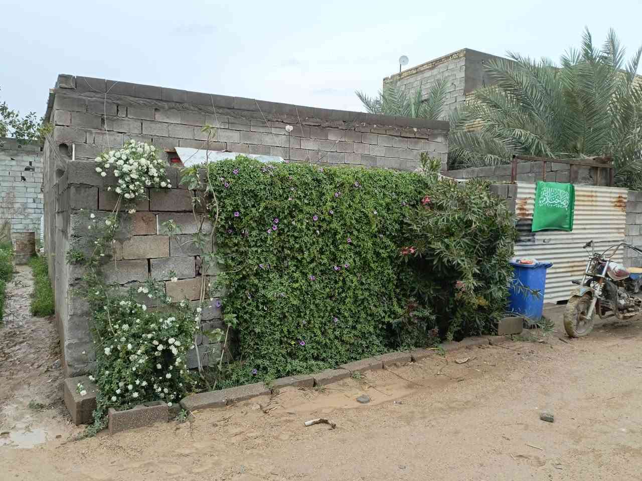 قطعه ارض للبيع مساحه 650 متر + مشتمل قرب شركة ببسي بغداد وكلية طيبه ***********
***********
