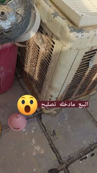 مبرده • نظيفه • شغاله