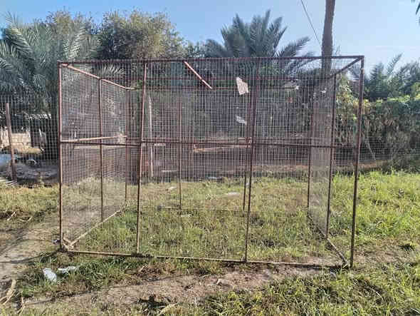 السلام عليكم
قفص للبيع  راهم ومرهم  سيم طبقتين 
 الطول ٣ متر
والعرض ٢ متر
والارتفاع ٢ متر
السعر المطلوب ٢٠٠ وبي مجال شويه
***********
***********
تل السيباط
