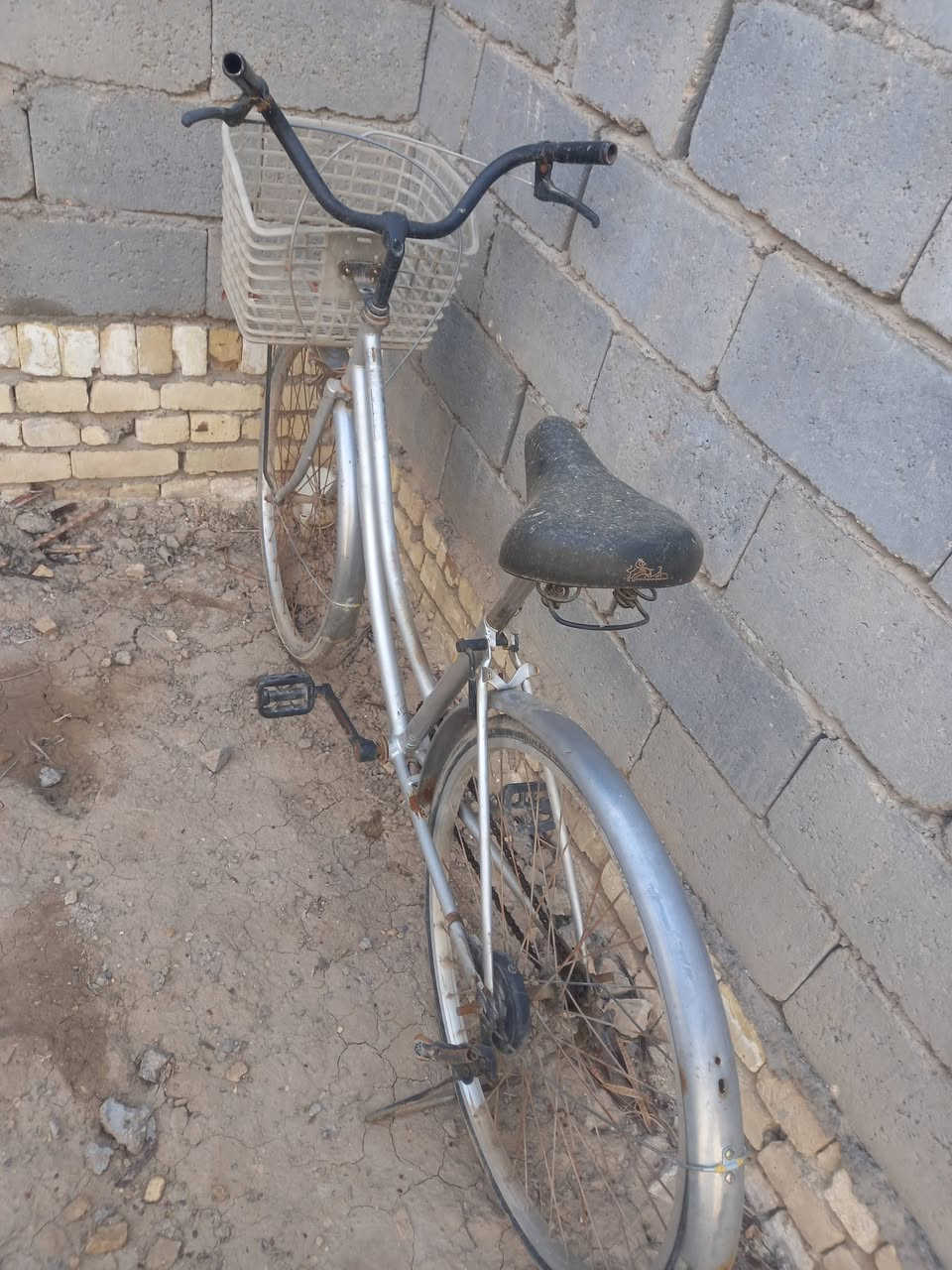 سلام عليكم من رخصة المدير 
للبيع بايسكل حجم ٢٦ مال باله ياباني البايسكل كلش نضيف احلا من الصوره بلحقيقه السعر  ٥٠ وبي مجال قليل للشراي 
اتصل واتساب وبي خير ويدلل ***********
