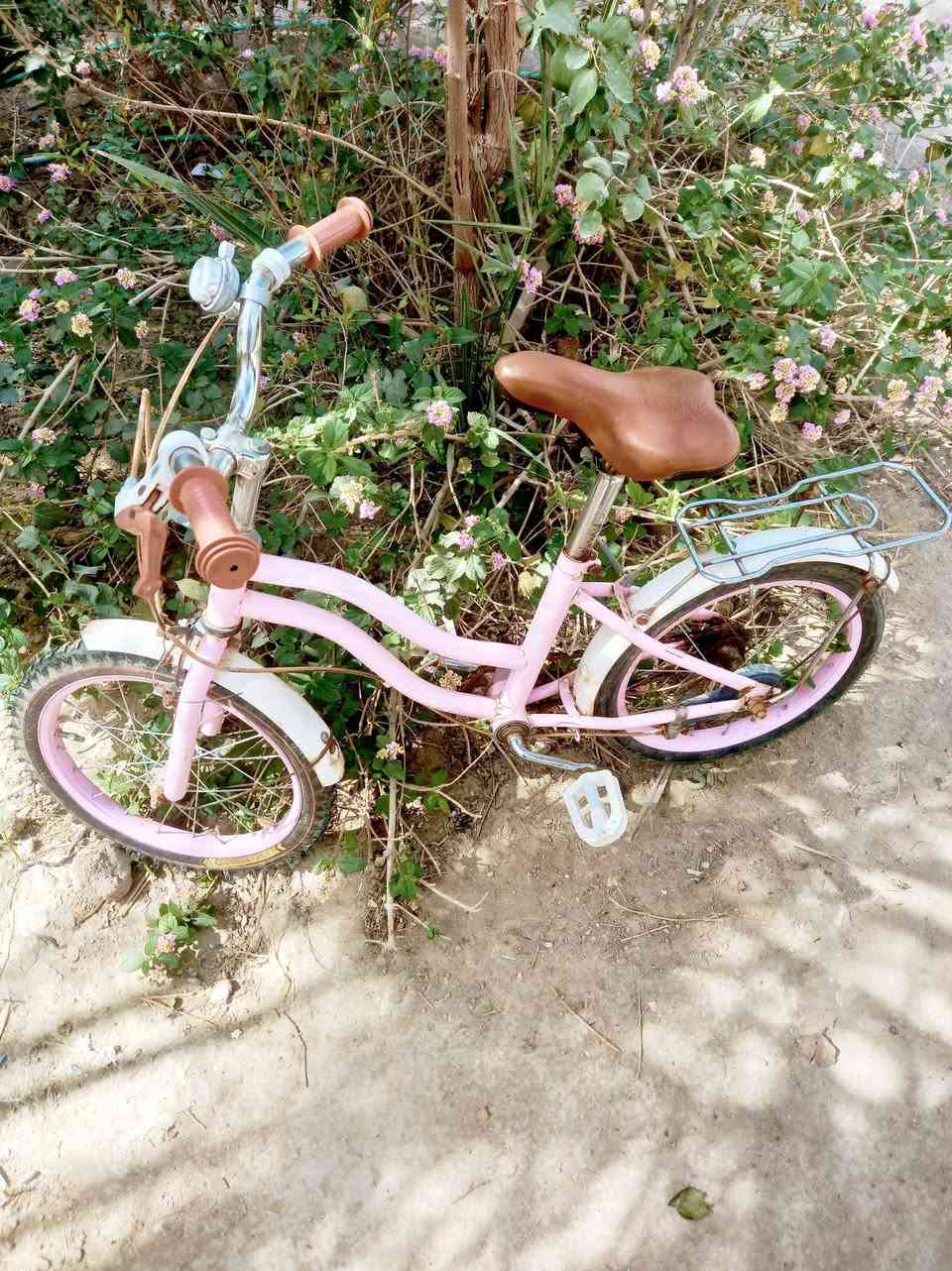 بايسكل للبيع كلش نظيف مابيه اي نقص ومن النوع الياباني  قياس ١٦   السعر ٤٠ وبيه مجال  للاستفسار الاتصال بالرقم  *********** المكان قضاء الشاميه
