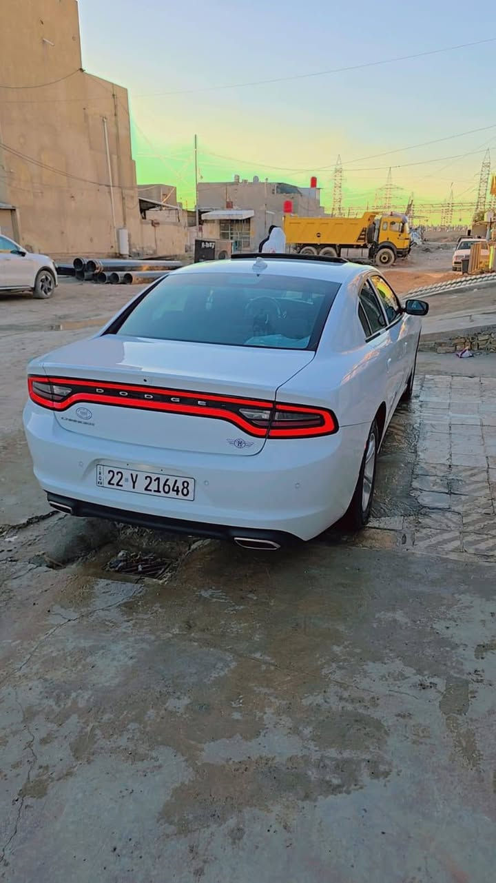 🧿عـــلـئ بــــركـــة الـــلـــه🧿

🫡🫡الــمــصـداقــية ســـر الـــنجـــاح🫡🫡
عاجل عاجل عاجل 
الاصدار الاخير 🪬
🛞نــوع الــمـركـبة:- دوج جارجر - SXT امريكي  
🪙الـــــمــوديــــل:-2023 لإصدار الاخير 
⚙️حــجـم الـمـحرك:-3.600 
💌الـــــــوحـــــــة:-أربيل الدولي تحويل مباشر

 سياره جديده بمعنا الكلمه 

          💎💎الـــــــمــــواصــــفــــات💎💎

♦️شاشة كبيرة 
♦️كامرة خلفية
♦️فتحات سقف
♦️بصمة تشغيل 
♦️بصمة أبواب
♦️تشغيل عن بعد
♦️تحكم أستيرن
♦️لد نهاري 
♦️كشن الأمامي كهربائي
♦️ تدفئة كشنات 
♦️رادرات جوانب
♦️رادار خلفي للتوقف الذاتي
♦️ويل كب 
♦️نظام ترحيب عند الاقتراب 
♦️ويل كب كروم 
♦️كشنات حضن 
♦️تدفئه كشنات
لايت زنون
📞——————————————————-📞

📩للاستفسار__والتواصل :- عــلـى الارقام الموجودة

أثـــيــــــر :-***********📲

📍📍📍
العنوان:بابل مركز المدينه
