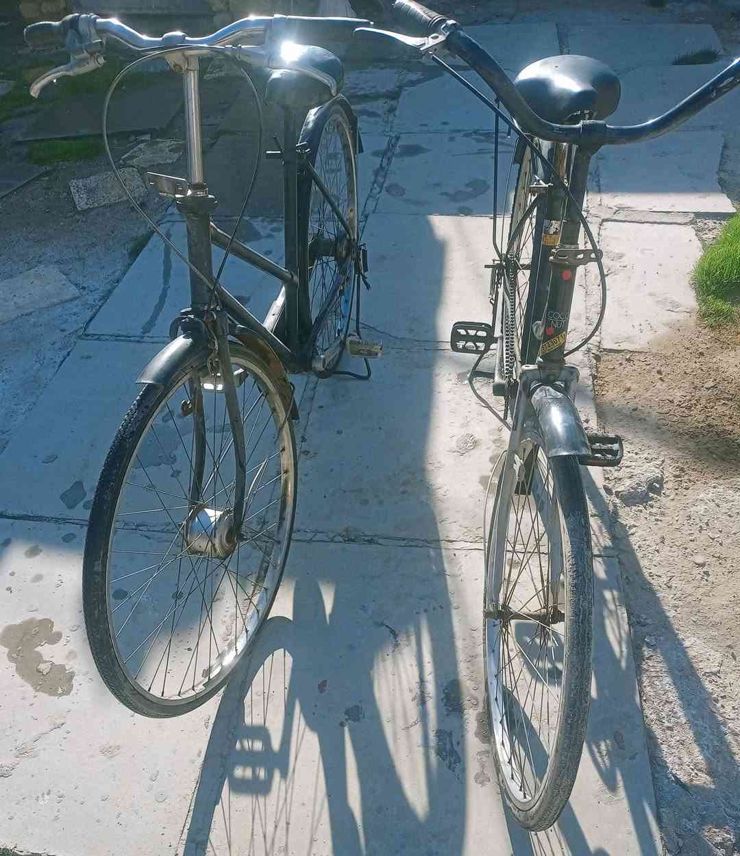 السلام عليكم
متوفر بايسكلين للبيع:
🚲 بايسكل بناتي سعر (40)
🚲 بايسكل أبو قايش سعر( 45) 🌿
📍 المكان: الشعب – قرب محكمة الشعب
📞 التواصل واتساب : ***********
