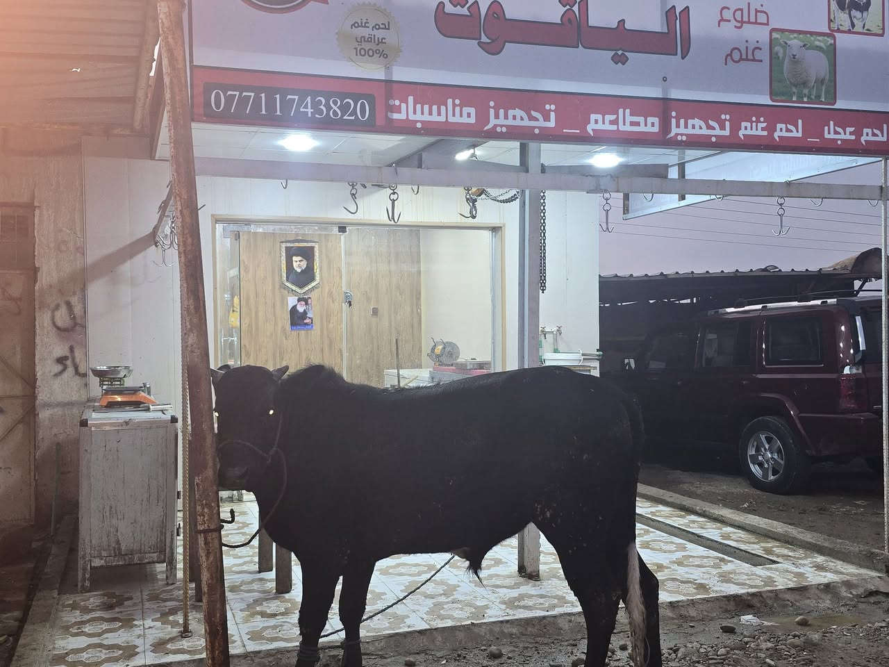 بسم الله على بركة الله
اللهم صل على محمد وآل محمد اليوم السبت 3/1من قصابية الياقوت ***********الكيلو 12000العرض انتها ابو 2كيلو 22
