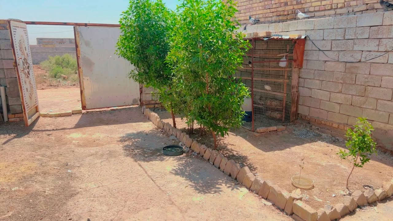 بيت 200متر خلف عمارات الزيتون بي غرفتين وصاله وستقبال وصحيات عوزه لبخ وارضيه زراعي  سند 25  عگاده السعر  25


**إذا كنت صاحب هذا الإعلان وتريد حذفه لأي سبب، رجاءا أرسل رسالة إلى الدعم الفني**