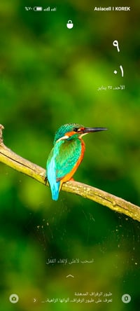 رايد كيا حمل بنگو او فونتيرا  بالمده واي ضمان تريد موجود مع الكفيل من ...