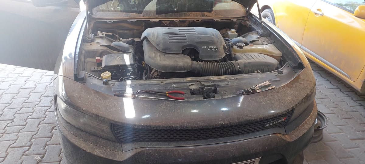 @
محل ماشاءالله
بادارةاسطةعلي غالب 
كركوك كراج الشمال محلات مركزالشباب مقابل مركزالصحي المصلى
***********..***********
دوج جارجر٢٠١٩ فتح دشبول وتبديل فريز نوعية فاخرة وبضمان وكواليتي وشحن غاز الفرنسي حسب طلب الزبون وبدون اي كسر وبراغي زايد ولاصوت ولا اي خلل ولنا تاريخ بالمهنة الحمدلله فوق ٢٥سنة ماشاءالله
موقع محلنا موجود ع الخرائط اكتب محل ماشاءالله ويطلع بالخرائط👇
 🥰بنجاح الحمدلله💪💪
ويا محل ماشاءالله اختيارك صحيح👍
