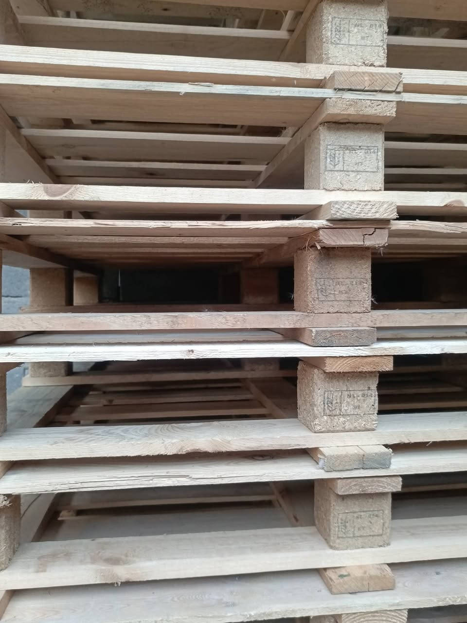 السلام عليكم
متوفر سكيب 
قياس 120×80
عددهن 200
........
متوفر سكيب محير 
عدد 65
مكاني بغداد
***********
