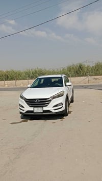 توسان وارد امريكي • ٢٠١٦ • رقم بابل