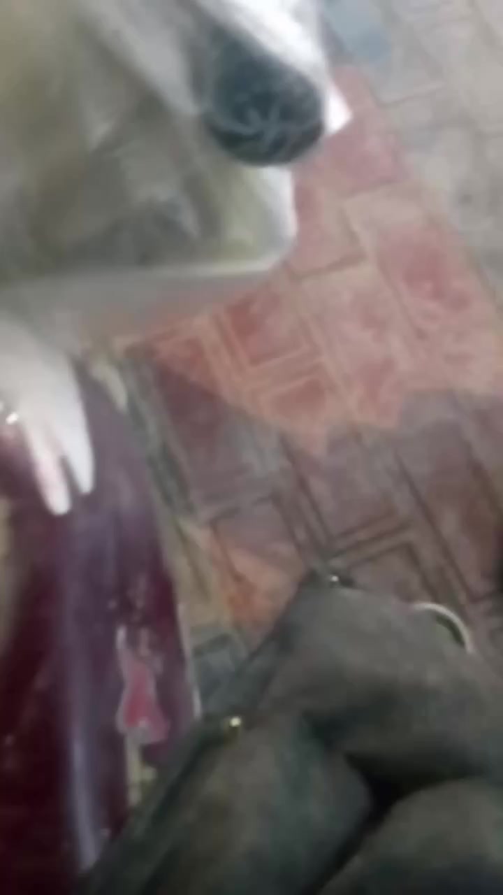 ستوته للبيع اصواي مكينه 150 2022 مديل شاصي 18 شراي تصل سعر 1500 وبيها مجال رقمي ***********
