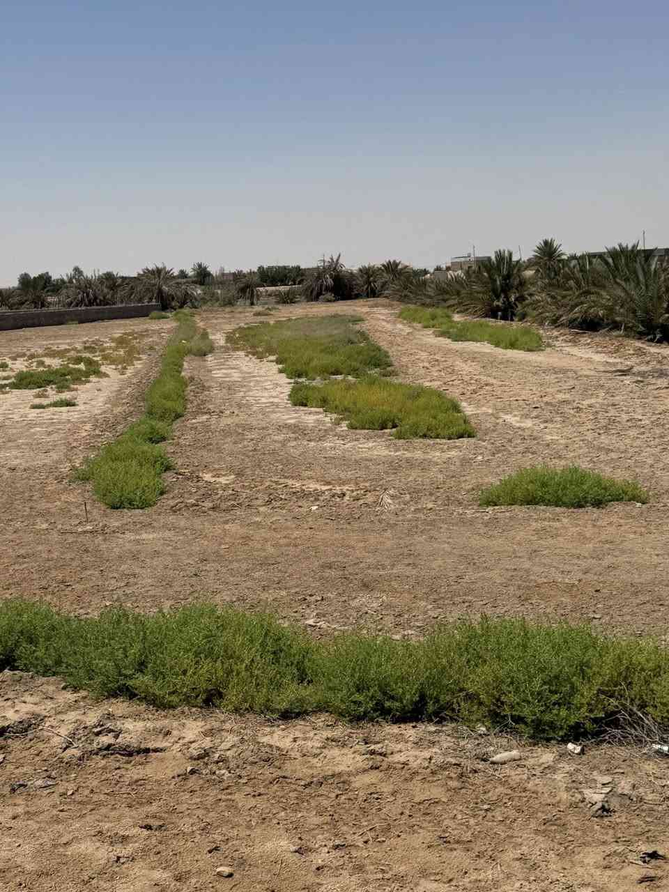 قطعة ارض للبيع المساحة 1750 بالمهدي قرب محطه قطار ساوة  شارع وماي اساله تحتها ومن جهه الثانيه نهر القائد مداور اسمهم طابو زراعي سند 25 باقي التفاصيل الاتصال ع رقم ‭0780 309 5063‬
