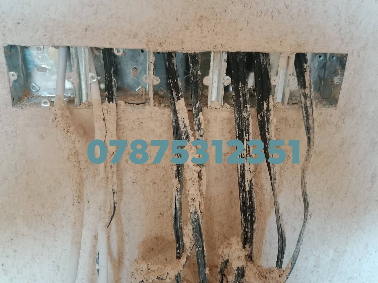 الباخ من اهالي كربلاء.  متفرغ حاليا شغلي  سمنت جص بورك مكطوعه وعل متر وشتغل كرسته وعمل وسلم مفتاح *********** ‏‪ ***********
