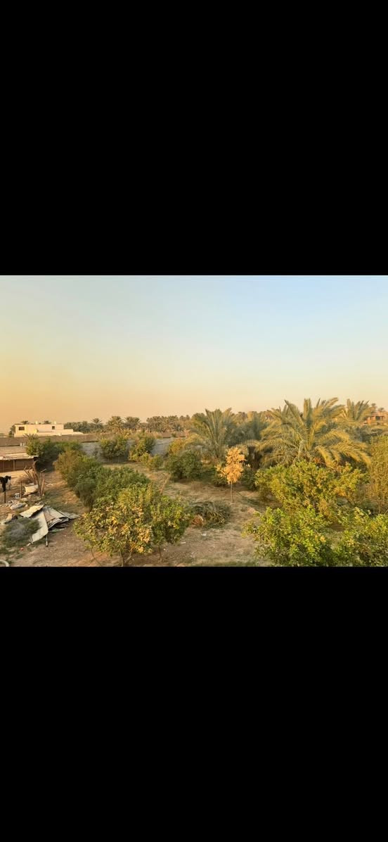 السلام عليكم دونم شاطية للبيع على نهر دجلة الزعفرانية نهاية شارع الجواهري عقد ١١٧ استفسار ***********
